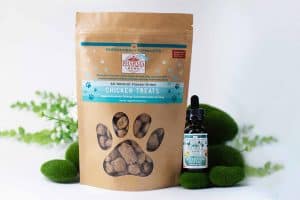 Best CBD Pet Treats