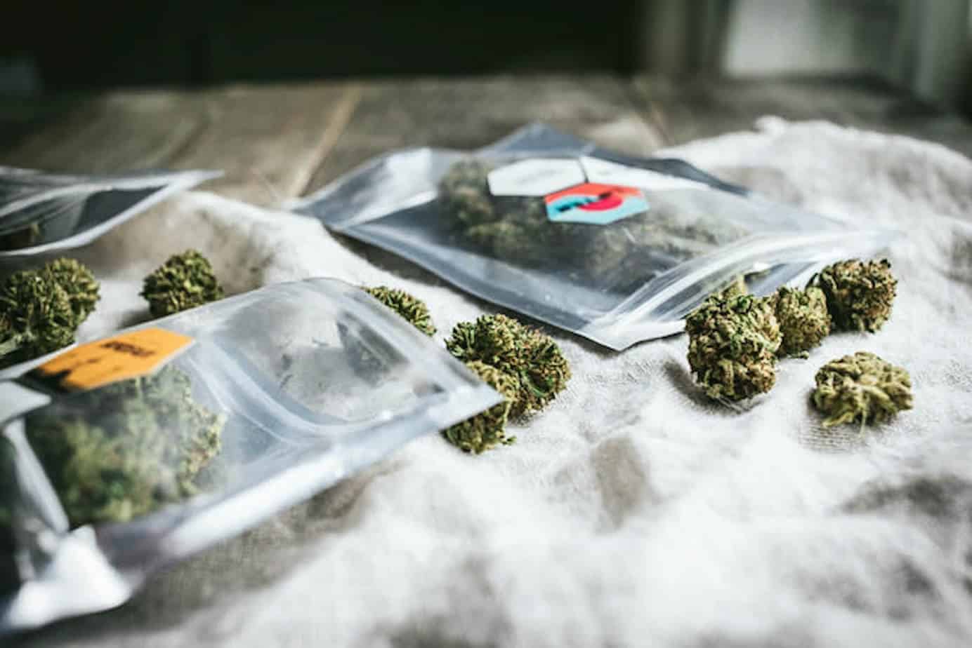 Is Cascadia Blooms Direct CBD Legit?