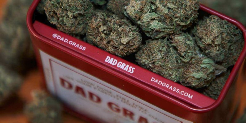 Real Tested CBD Reviews: Top 5 Hemp Strains