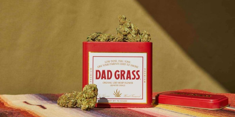Is ‘Dad Grass’ CBD Legit? – A Real Tested CBD Brand Spotlight