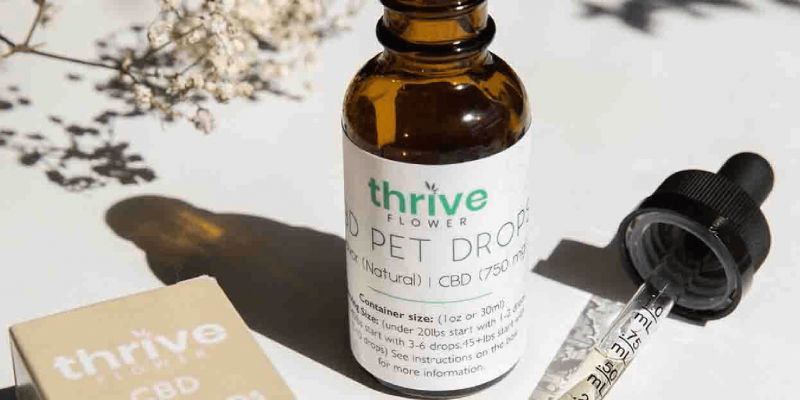 Is ‘Thrive Flower’ CBD Legit? – A Real Tested CBD Review