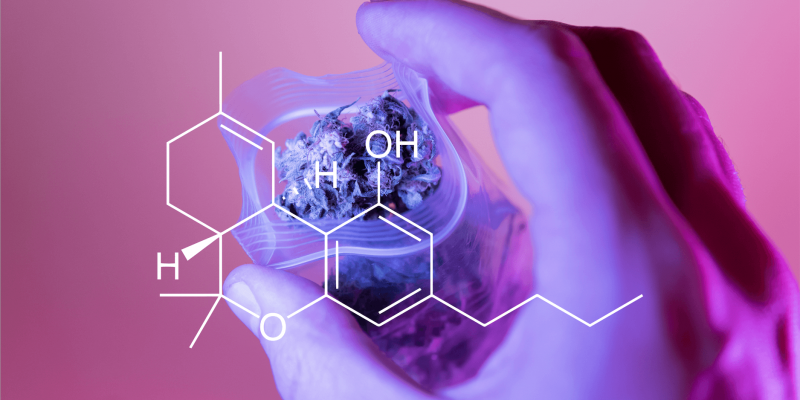 Is Delta-8 The Same As CBD?