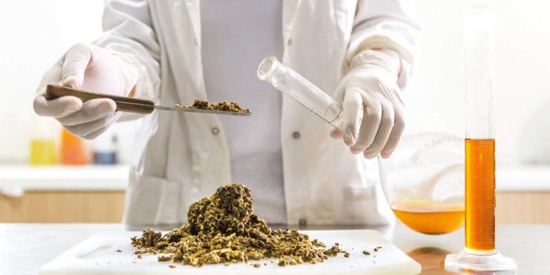 The History of CBD: A Breakdown of Cannabis & Hemp in America