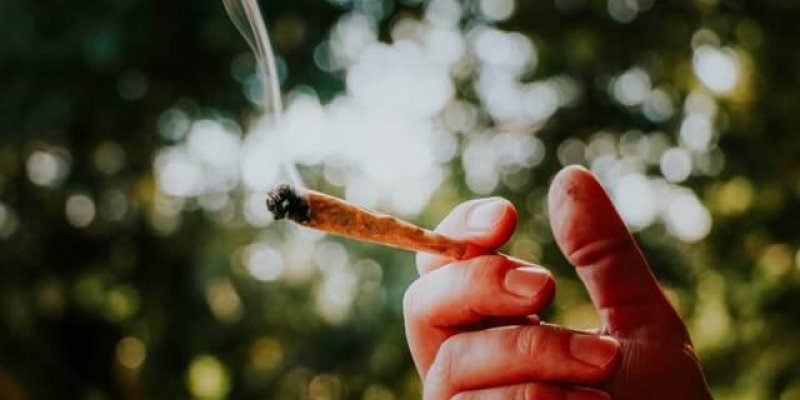 Top 3 Lab Tested Delta-8 Joints – Real Tested CBD Reviews