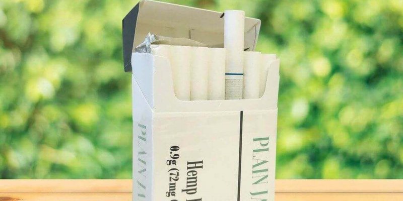 Is Plain Jane CBD Legit? – A Real Tested CBD Brand Spotlight