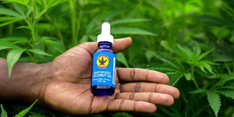 Is ‘Hemptation USA’ Legit? – A Real Tested CBD Brand Spotlight Review
