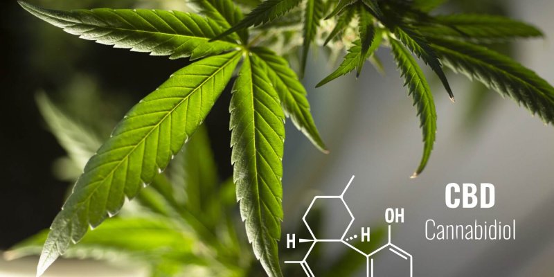CBD Extraction 101: Popular Methods Explained
