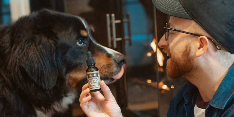 CBD for Pets: Does It Work?